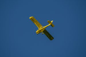 lorenzo-ranuzzi-Nm7aIKvLFbE-unsplash